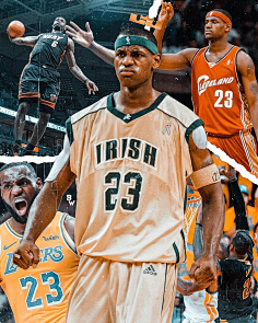 女子篮球联赛MVP候选人公布（女篮联赛MVP候选名单出炉）