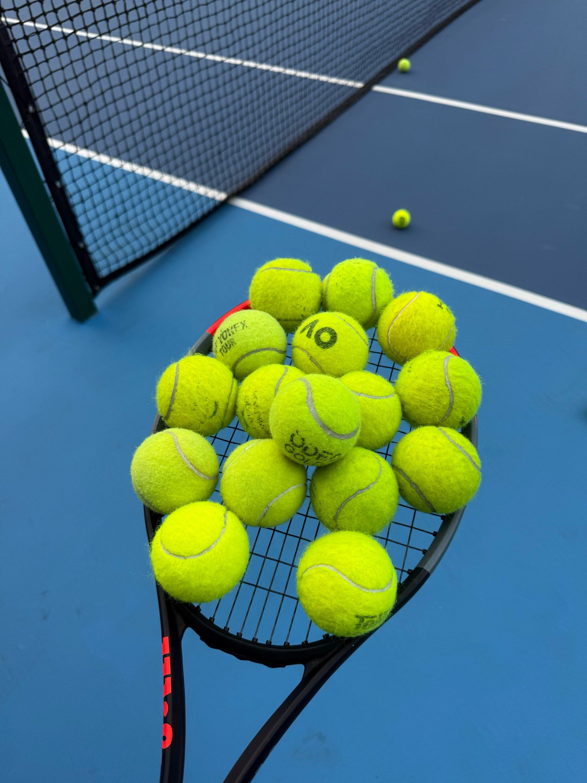 的竞争力 的竞争力